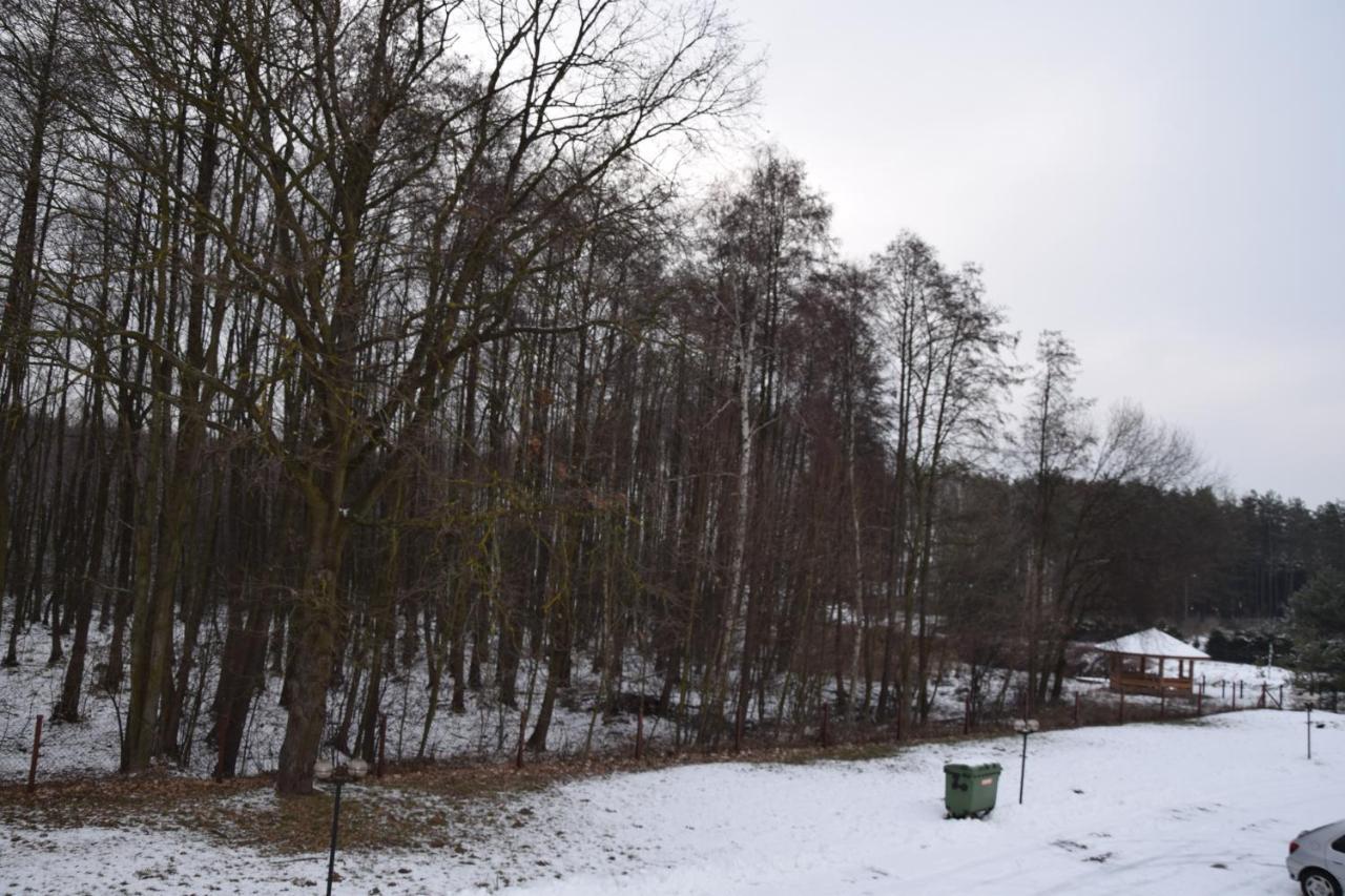 Inter-Bar-Motel Nowe Marzy Exteriér fotografie